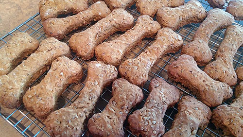 Dog biscuits cooling
